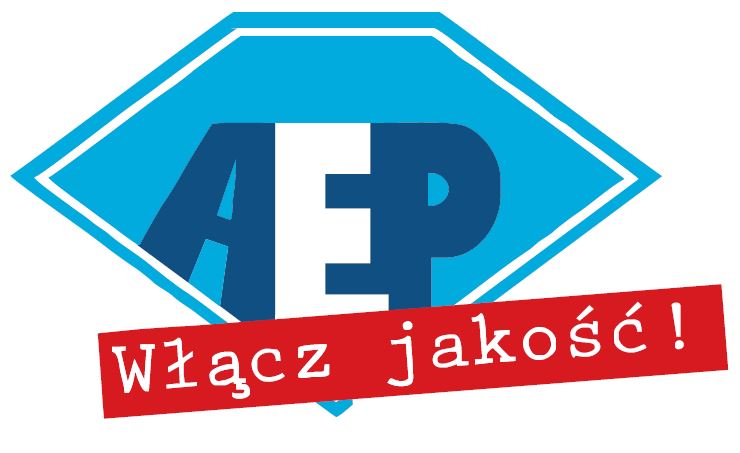 Rozdzielnica stacjonarna 1-0 1x32/5 1x16/5 2x2P+Z 230V zestaw siłowy IP67 ŚWINOUJŚCIE RSS-0112-01 RSS0132162GW/5 AEP